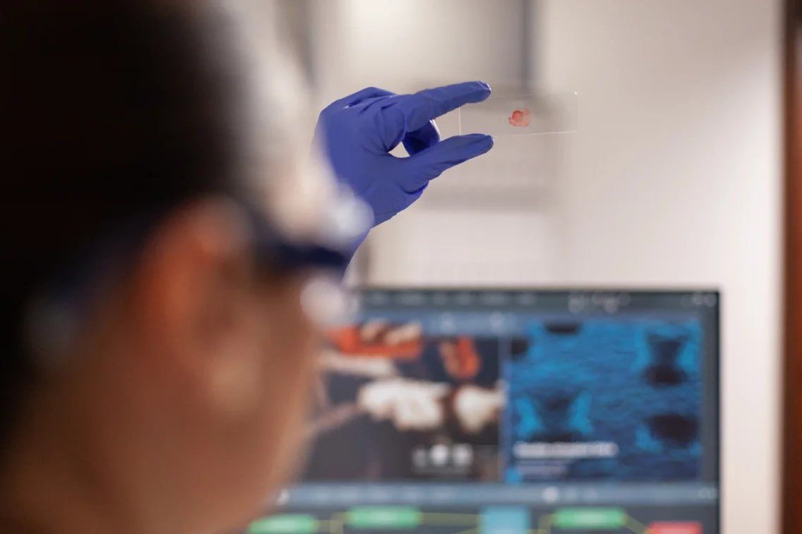 Profissional em análise laboratorial — ACEP Odonto